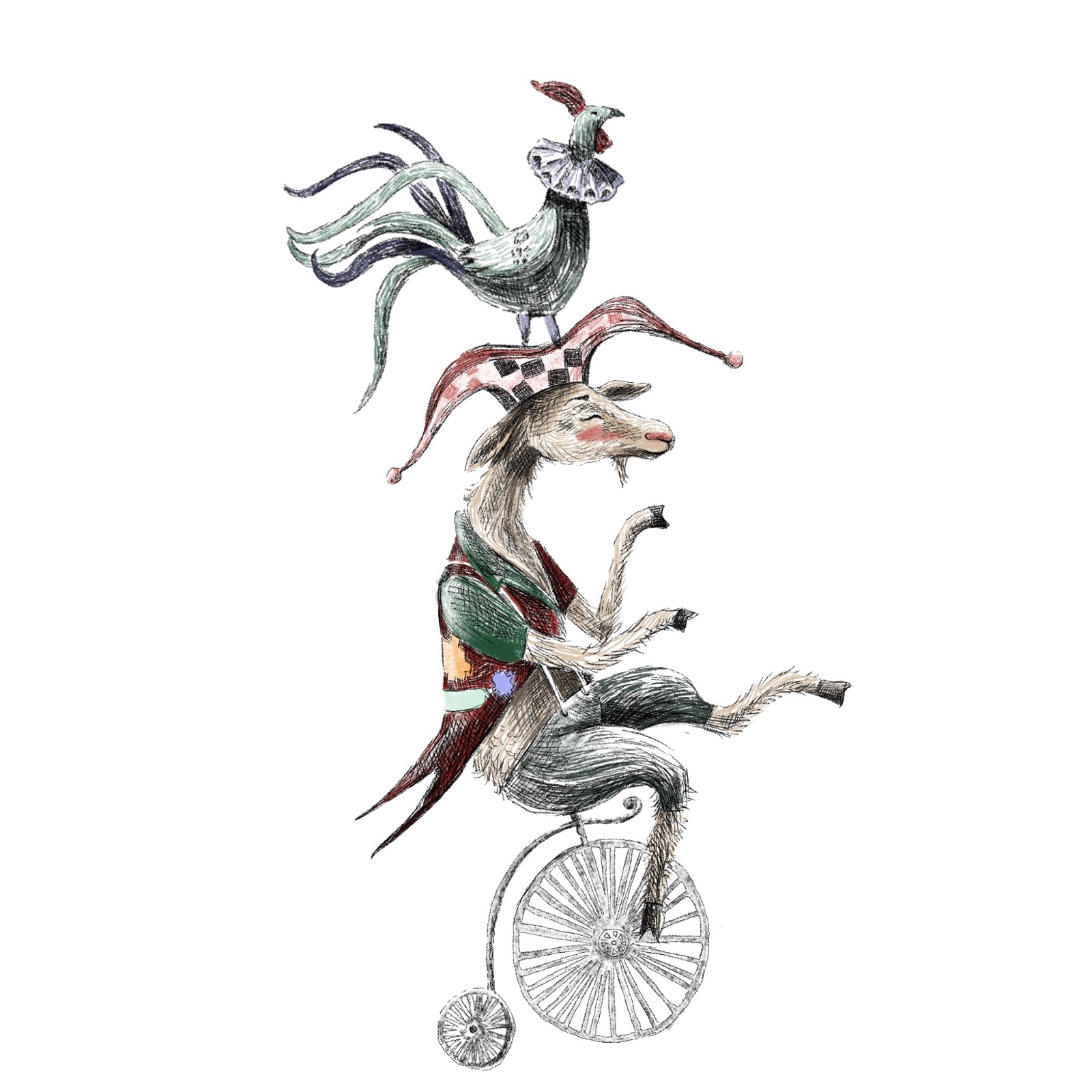 Illustration of a goat and rooster riding a penny-farthing