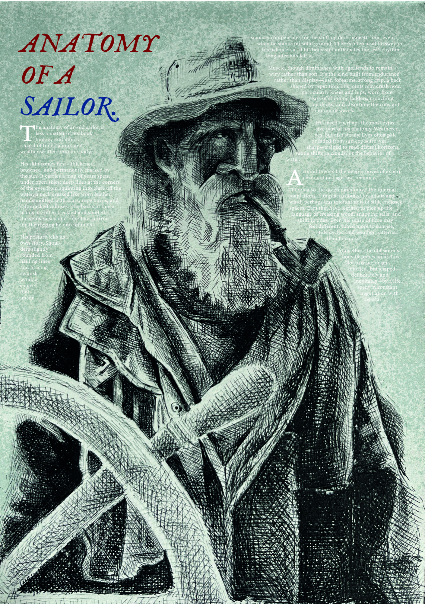 Anatomy of a Sailor — pen and ink portrait of a bearded sailor