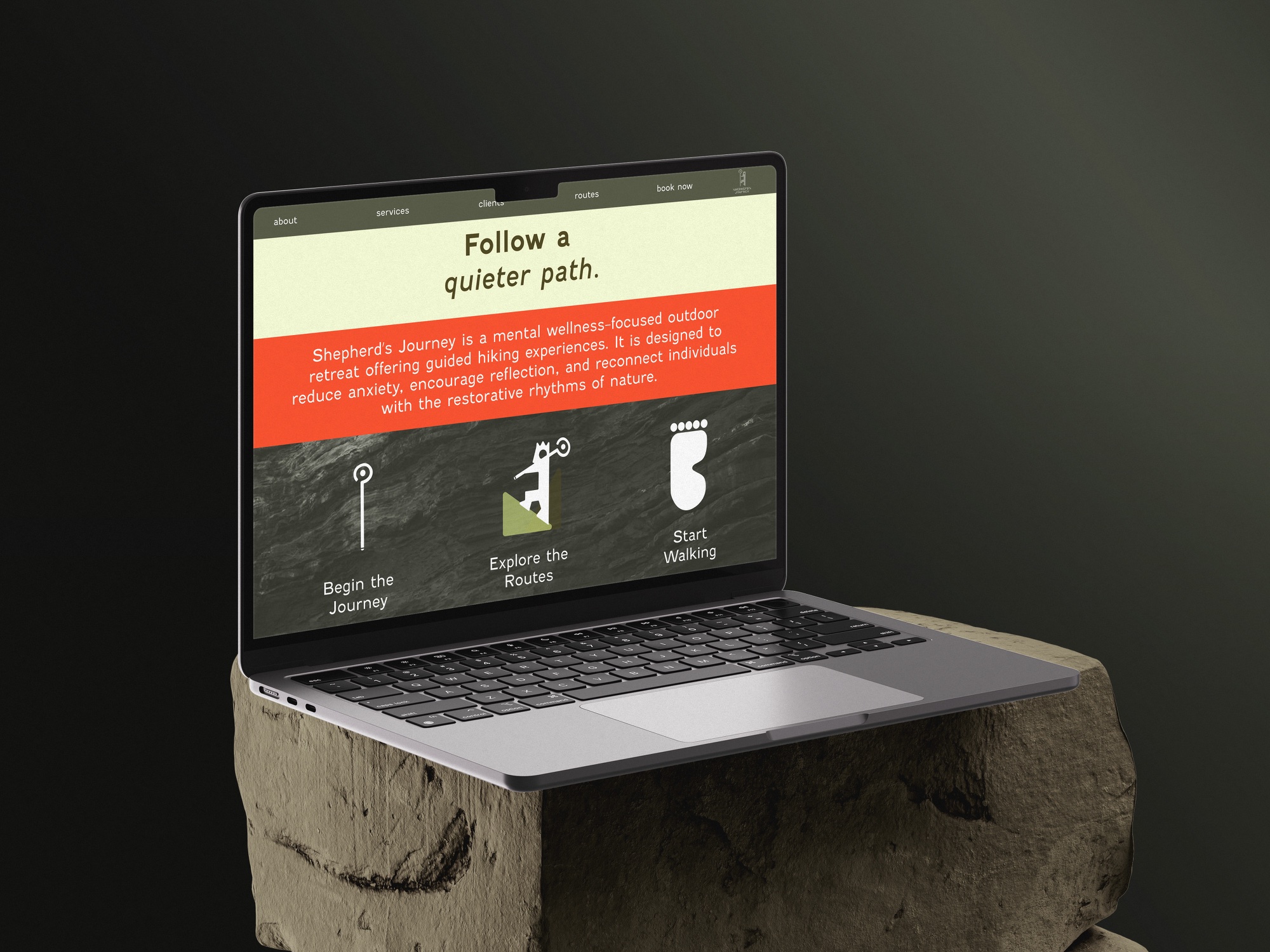 Website shown on a laptop mockup