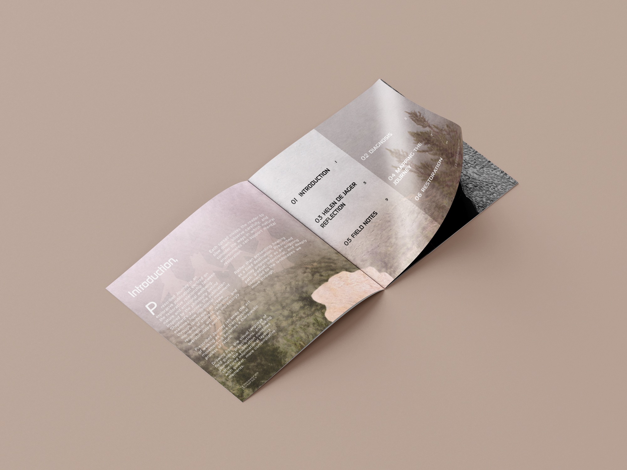 Interior spread of the publication