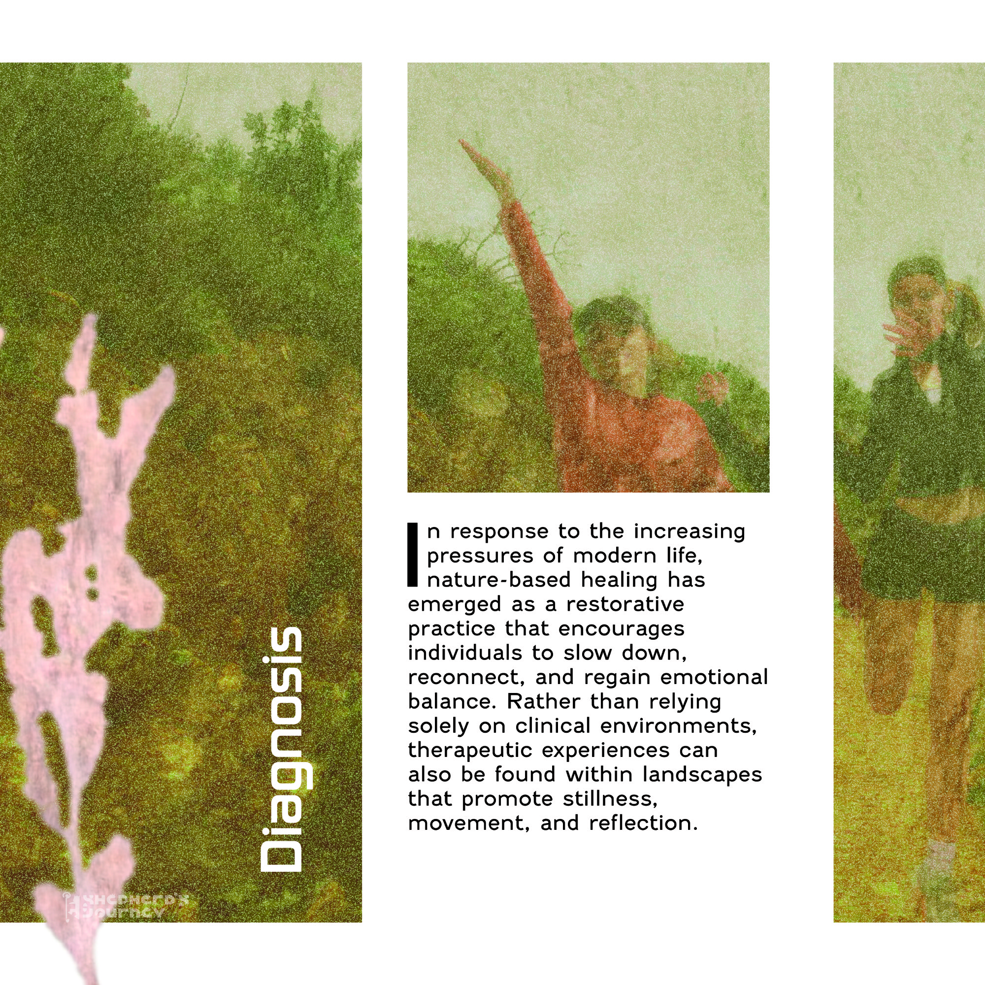 Detail photograph of a printed spread