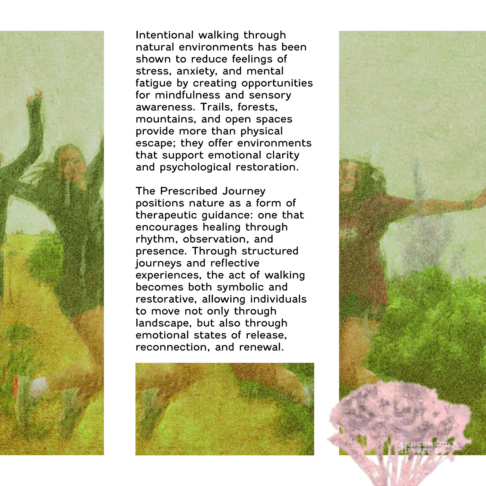 Printed publication photographed in context